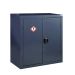 CoSHH Cupboard - 1 Shelf - 900.900.460